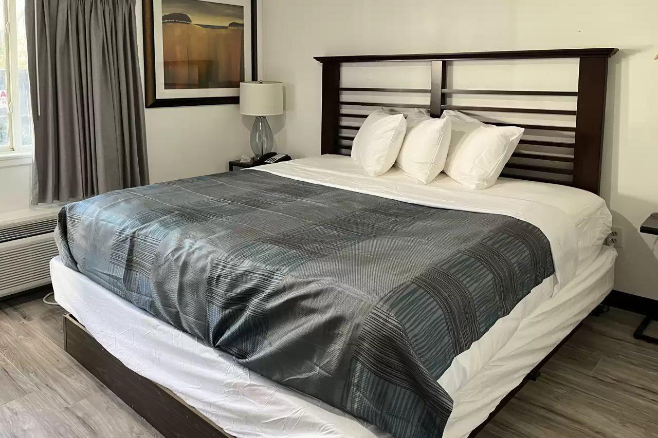 Rodeway Inn Σάρλοτ Εξωτερικό φωτογραφία